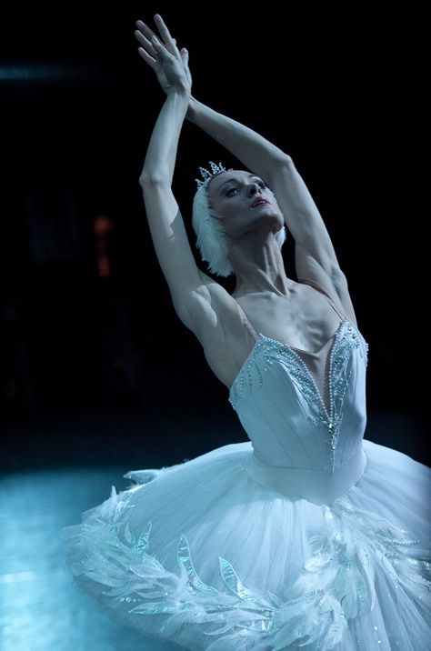 Uliana Lopatkina’s quote March 19, 2013 “More than most professions, ballet erodes the private sphere. You serve it; you’re a slave to it.”  Mariinsky Ballet’s Uliana Lopatkina Uliana Lopatkina in Swan Lake - Photo by Anne Deniau Swan Lake Ballet, Opera Ballet, Paris Opera Ballet, Ballet Inspiration, Russian Ballet, Ballet Photos, Classical Ballet, Ballet Photography, Royal Ballet