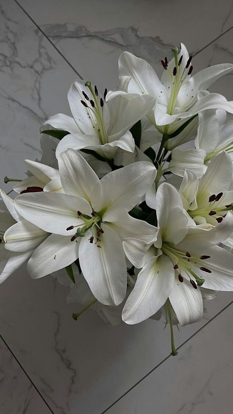 White Lillie’s, White Lily Flower Bouquet, Lilly Flower Aesthetic, White Lilies Bouquet, Lillies Flowers, Lily Aesthetic, White Lily Bouquet, Lilies Bouquet, Lilies Flowers