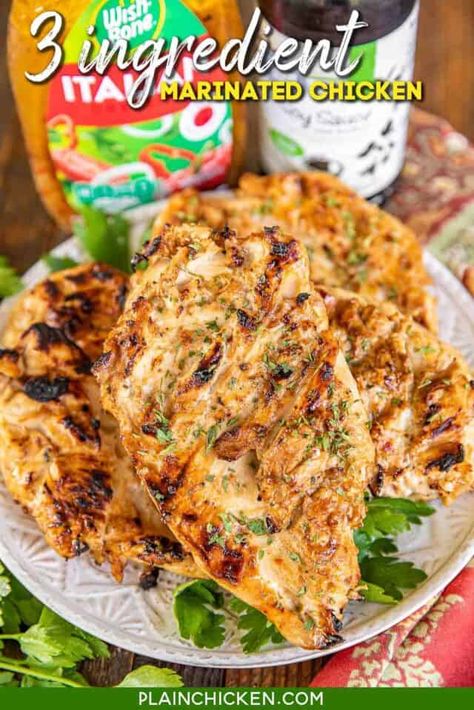 Honey Pineapple Grilled Chicken - Plain Chicken Italian Marinade For Chicken, Italian Dressing Marinade, Plain Chicken Recipe, Grilled Chicken Recipes Easy, Easy Marinades, Easy Grilled Chicken, Plain Chicken, Chicken Marinade, Grilled Veggies