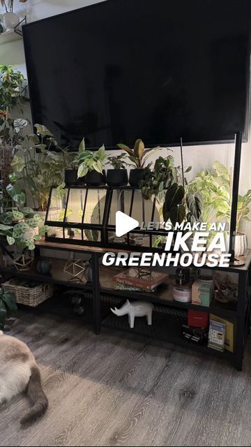 Ikea Greenhouse Ideas, Ikea Akerbar Greenhouse, Ikea Terrarium Ideas, Åkerbär Ikea Greenhouse, Ikea Mini Greenhouse, Ikea Plant Cabinet, Greenhouse Ikea, Milsbo Greenhouse, Ikea Terrarium