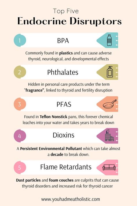 Endocrine Disruptors-BPA, Phthalates, PFAS, Dioxins, & Flame Retardants. Learn what endocrine disrupting chemicals are, what they do to your health, common sources of endocrine disrupting chemicals, and easy swaps to avoid them and reduce your exposure. Hormonal Acne Diet, Hormone Nutrition, Fibroid Diet, Easy Swaps, Hormone Imbalance Symptoms, Low Estrogen Symptoms, Too Much Estrogen, Newborn Feeding, Low Estrogen