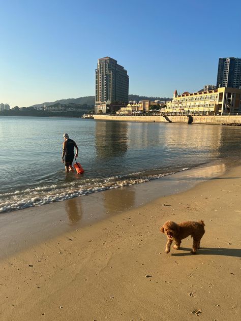 Hong Kong Beaches, Discovery Bay, Beach Vibes, Beach Vibe, Asia Travel, Nature Travel, City Life, Ig Story, New York Skyline