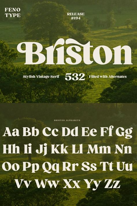 Briston Serif is a modern serif font with a touch of classicism. It's perfect for branding, editorial design, and. #VintageFonts #FreeFonts #RetroDesign #Typography #GraphicDesign Display Serif Font, Indie Fonts, Old School Fonts, Font Sets, Bullet Journal Hand Lettering, Edgy Fonts, Bold Serif Fonts, Font Serif, Strong Font