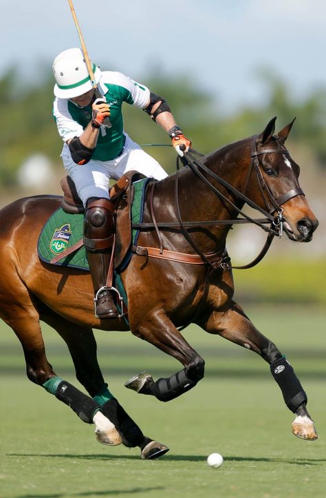 Polo Riding Aesthetic, Horse Polo Aesthetic, Polo Saddle, Horse Polo, Polo Horse Aesthetic, Men's Equestrian, Horse Riding Aesthetic, Polo Horse, Antique Picture Frames