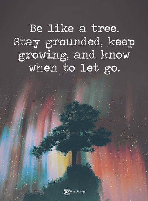 When To Let Go, Letting Someone Go, Tree Quotes, Quiet People, Power Of Positivity, Negative Self Talk, Amazing Quotes, Inspiring Quotes, Self Confidence