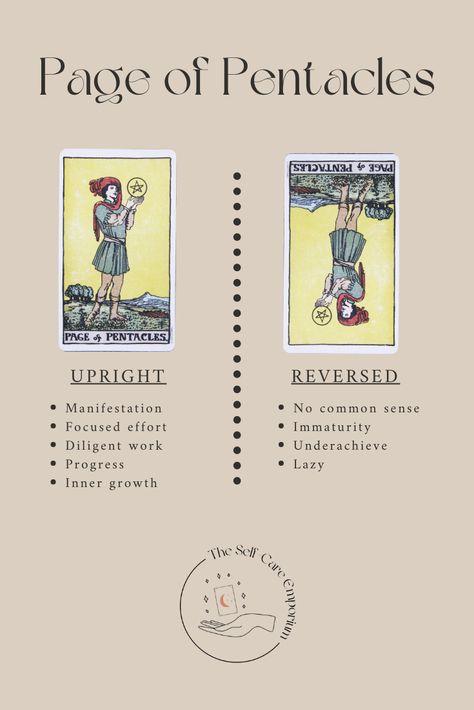 Page of Pentacles Tarot Meaning & Guidance — | The Self-Care Emporium Page Of Pentacles Tarot Meaning Reversed, Page Of Pentacles Tarot Meaning, Page Of Pentacles Tarot, Pentacles Tarot Meaning, Tarot Tutorial, Tarot Pentacles, Witchy Business, Page Of Pentacles, Witch Things