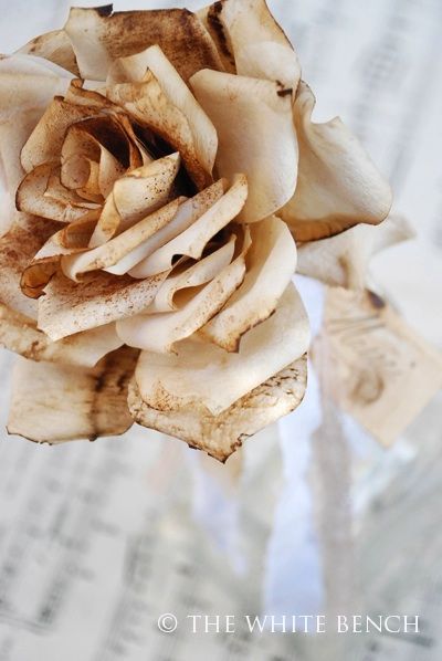 Coffee filter roses... wow! Link leads to a magazine where the tutorial is found. Incredibly realistic! Coffee Filter Roses, Diy Fleur, Coffee Filter Crafts, Coffee Filter Flowers, Coffee Filters, Coffee Filter, Easy Craft, Crafty Craft, Paper Roses