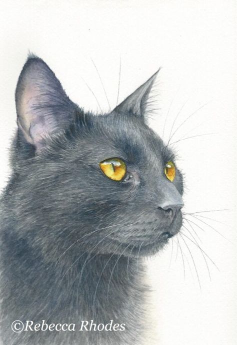 Art Videos For Kids, Cats Art Drawing, Painted Rocks Kids, Watercolor Tutorials, A Black Cat, Watercolor Cat, Arte Animal, Painting Videos, Cat Wallpaper