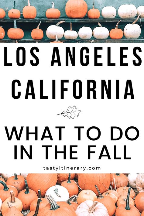 Looking for fall inspiration in Los Angeles? Autumn in Los Angeles isn't the same as it is in other parts of the country, but there are still many fall activities and things to do in Los Angeles, California. Enjoy the fall vibes in Southern California with these fun fall activities all the way into the winter. #losangelesfall #october #weekendgetaways #withkids Halloween Los Angeles, Fall In Los Angeles, Los Angeles Fall Outfits, Los Angeles Outfits Fall, Los Angeles Aesthetic Outfit, California Halloween, Southern California Travel, Aesthetic California, Los Angeles Aesthetic