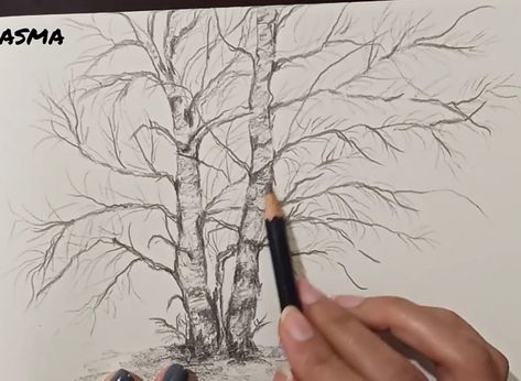 video link 👆 is available for all. you can watch the step by step drawing of complete tutorial. Drawing Birch Trees, Tree Drawing Realistic, Realistic Tree Drawing, Pictures Drawing Easy, Girl Drawing Cartoon, Easy Tree Drawing, Birch Trees Landscaping, Hickory Tree, Landscape Pencil Drawings