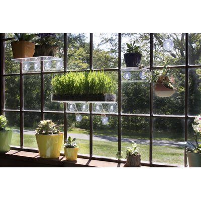 Window Shelf For Plants, Window Plant Shelf, Window Shelf, Window Garden, Plant Window, Window Plants, Window Shelves, Seed Starter, Indoor Herb Garden