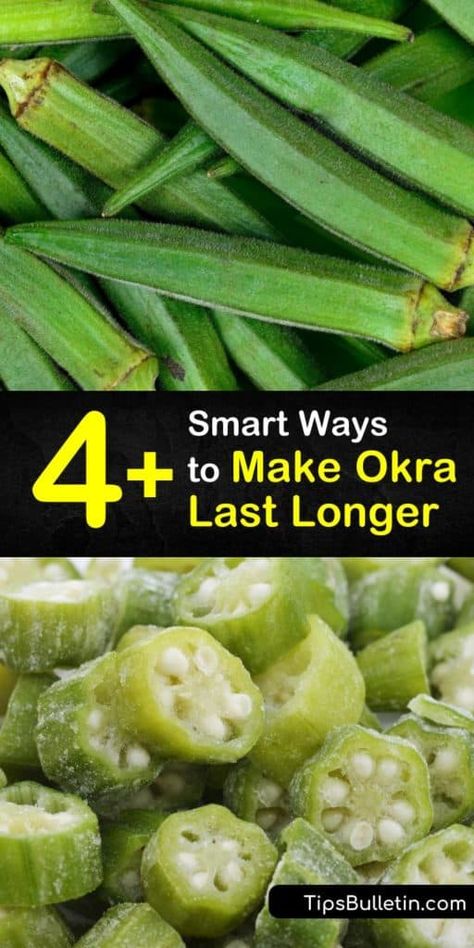 Consume delicious okra pods year-round with these recipes that store okra for long periods of time. Blanching okra plants is the first step in storing fresh okra that can be made into pickles, soups, and gumbo. You don’t want to miss out on these tasty dishes. #long #okra #last How To Store Okra, Frozen Okra Recipes Baked, Canning Okra For Frying, Canning Pickled Okra, Southern Fried Okra, How To Cook Okra, Fresh Okra, Okra Plant, Preserving Vegetables