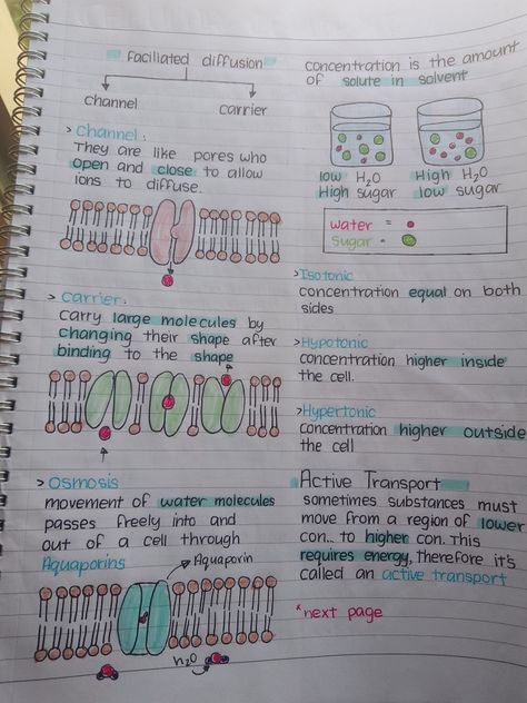 Biology Notes Cell Division, Cellular Transport Notes, Passive Transport Biology, Cell Transport Notes, Cell Biology Notes, Microbiology Study, Bio Notes, Biochemistry Notes, Learn Biology