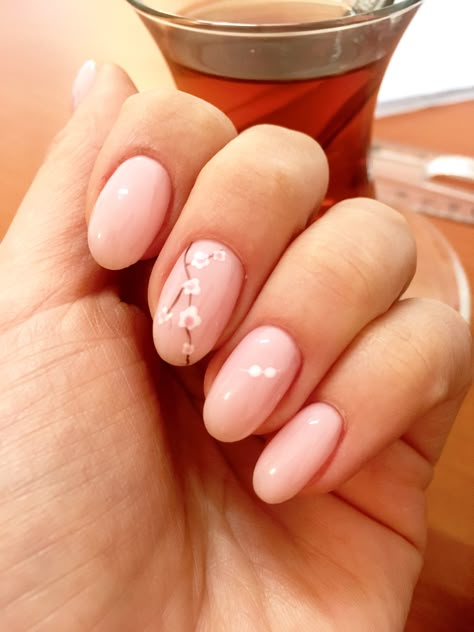 Light Pink Spring Nails Art Designs, Cherry Blooms Nails, Pink Flower Gel Nail Designs, Gel Nails Cherry Blossom, Cherry Blossom Pedicure, Spring Nails Cherry Blossom, Cherry Blossoms Nail Art, Nail Cherry Blossom, Peach Blossom Nails