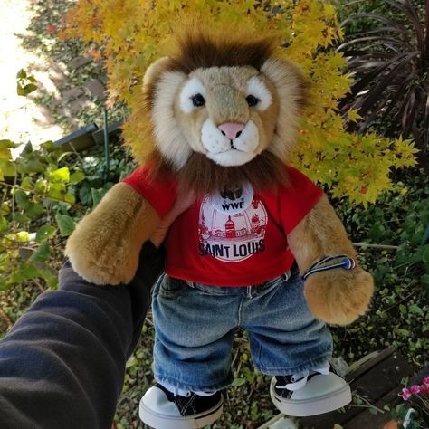 Lion Plush, Build A Bear Aesthetic, Build A Bear Outfits, Lion Toys, Food Clothes, 23rd Birthday, Rawr Xd, Teddy Bear Picnic, Build A Bear