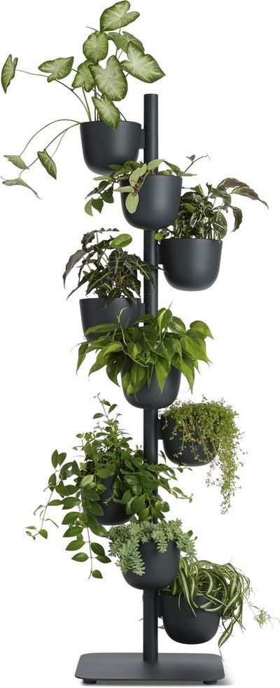 Planter Stand Indoor, Outdoor Holiday Planters, Ladder Ideas, Outdoor Christmas Planters, Corner Plant, Support Pour Plante, Plant Stands Outdoor, Modern Plant Stand, Hanging Plants Indoor