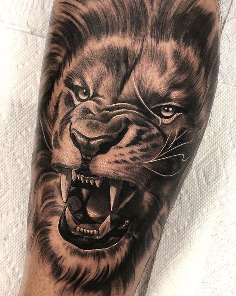 Posts tagged with #liontattoo Traditional Lion Tattoo, Lion Arm Tattoo, Lion Back Tattoo, Lion Stencil, Small Lion Tattoo, Tiger Tattoo Sleeve, 3 Lions, Christian Sleeve Tattoo, Lion Tattoo Sleeves