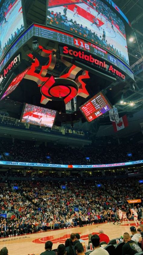 Toronto Raptors Aesthetic, Raptors Aesthetic, Aesthetic Toronto, Nba Arenas, 2023 Moodboard, Library Aesthetic, Hoop Dreams, 2023 Vision, Toronto Raptors