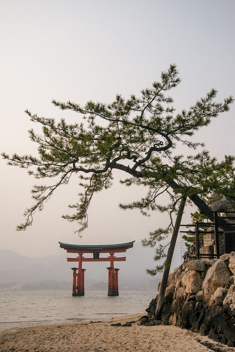 Torii Gate, Japanese Landscape, Japan Culture, Japan Aesthetic, Aesthetic Japan, Asia Destinations, Japanese Aesthetic, Japanese Garden, Japan Travel