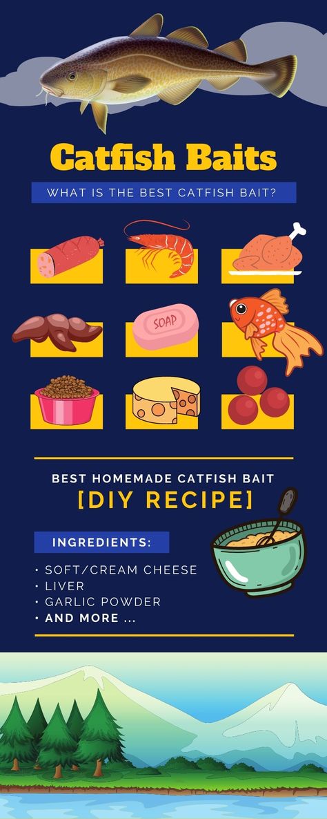 Best Catfish Bait - Infografic Homemade Fish Bait, Diy Fish Bait, Homemade Catfish Bait, Best Catfish Bait, Catfish Rigs, How To Catch Catfish, Big Catfish, Blue Catfish, Cat Fishing