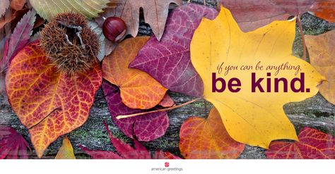 Welcome October Images, Fall Cover Photos, Fall Facebook Cover Photos, Hello October Images, Goodbye September, Fall Facebook Cover, Fb Background, Fall Jigsaw Puzzles, October Wallpaper