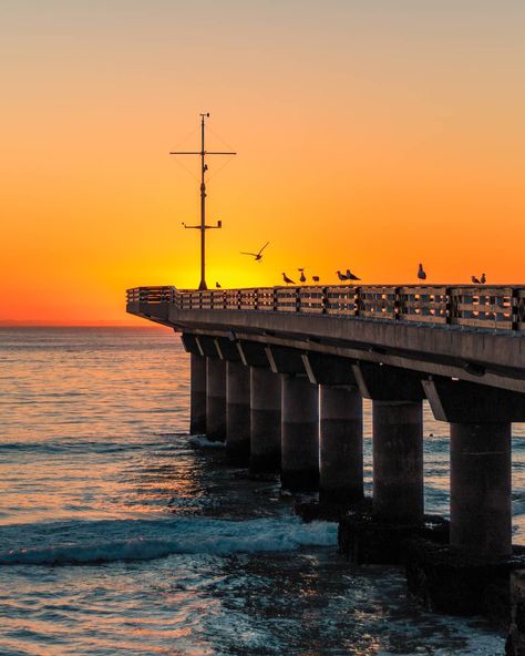 157 Likes, 8 Comments - Mouritz (@mou420) on Instagram: “Early morning sunrise at the beautiful pier in Port Elizabeth. . . . #proudlysouthafrican…” Port Elizabeth South Africa, Early Morning Sunrise, Paintings Ideas, Port Elizabeth, Eastern Cape, Morning Sunrise, Romantic Honeymoon, Historical Monuments, The Windy City