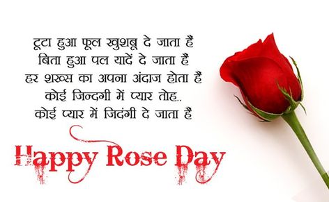 Rose Day Shayari, Happy Rose Day, Fb Status, Rose Day, One Liner Quotes, Message For Husband, Happy Valentines Day Images, Cartoon Love Photo, Shyari Quotes