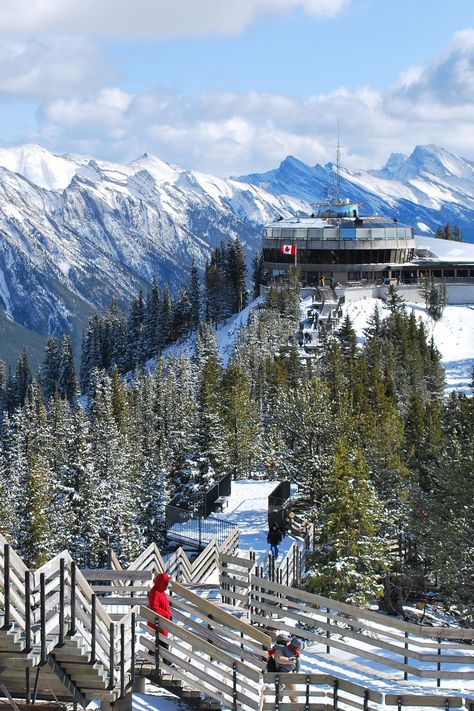 “Experience a world of adventure and beauty at the summit of Banff’s Sulphur Mountain. Indoors, the experience is equal parts excitement and exploration, with an interpretive centre and theatre to captivate the child in all of us.” - Banff Jasper Collection 🏔 📸: Sonya Brady #travel #traveldestination #aesthetic #Traveltips Banff Gondola, Travel Itinerary Planner, Road Trip Map, Itinerary Planner, Banff Alberta, Vacation Itinerary, Visit Canada, Canada Travel, Travel Planner