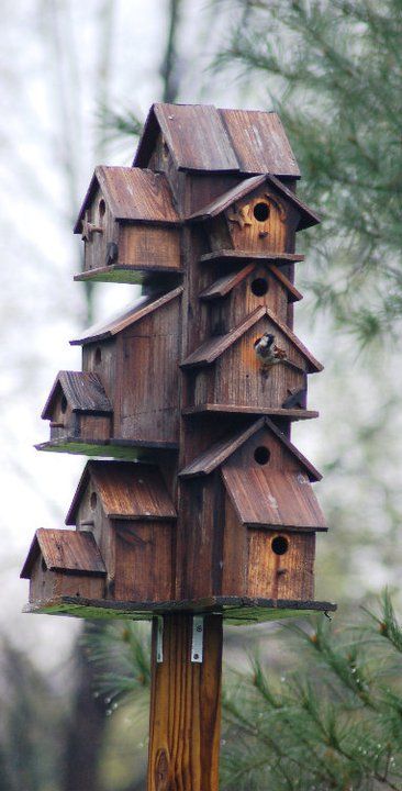 Höghus Nest Boxes, Birdhouse Ideas, Garden Birdhouses, Bird House Feeder, Bird House Plans, Unique Bird Houses, Bird House Kits, Bird Aviary, Birdhouse Designs