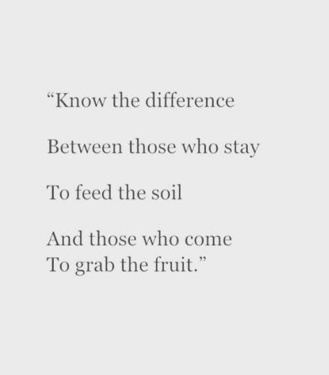 Know the difference between those who stay to feed the soil and those who come to grab the fruit. Show Off Quotes, Fruit Quotes, Support Quotes, Worthy Quotes, Inspirational And Motivational Quotes, Hard Quotes, Up Quotes, The Soil, The Fruit