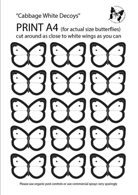 cabbage-moth-decoys-jpg.2501 (892×1262) Moth Template, Cabbage Moth, Vege Garden Ideas, Welcome To November, Tomato Worms, Cabbage Butterfly, How To Make Butterfly, Organic Pest Control, Butterfly Template