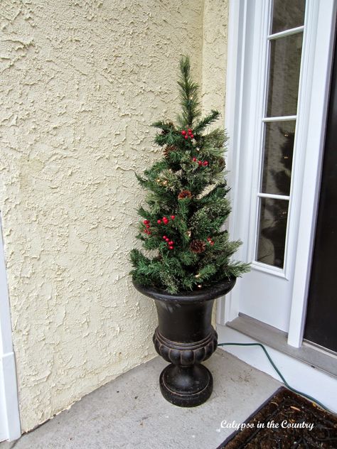 Christmas Tree in urn on front porch Country Christmas Front Porch, Porch Decor For Christmas, Simple Front Porch Decor, Diy Christmas Urns, Christmas Tree In Urn, Porch Urns, Porch Christmas Tree, Simple Front Porch, Diy Christmas Door Decorations