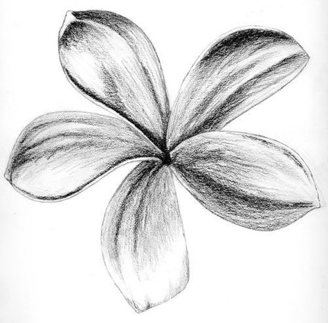 Easy Charcoal Drawings, 3d Drawing Tutorial, Easy Pencil Drawings, Project Drawing, Pencil Drawings For Beginners, Sketching Tips, Pencil Drawing Tutorials, Flower Drawing Tutorials, Arte Van Gogh