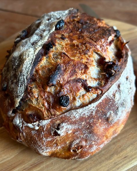 Cranberry Walnut Artisan Bread - Harvest & Nourish Cranberry Walnut Artisan Bread, Blueberry Quick Bread, Walnut Bread Recipe, Cranberry Walnut Bread, Breakfast Bread Recipes, Walnut Bread, Cranberry Bread, Bread Baker, No Knead Bread