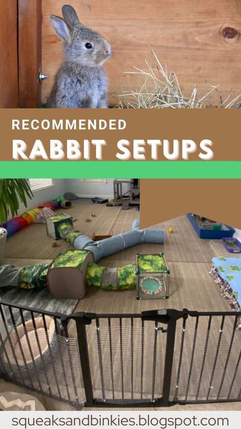 Flemish Giant Rabbit Indoor Enclosure, Rabbit Condo Indoor, Diy Rabbit Tunnel Indoor, Rabbit Enclosures Indoor, Indoor Rabbit Setup Diy, Bunny Inside House, Rabbit Living Space, Rabbit Playpen Ideas, Diy Rabbit Tunnel