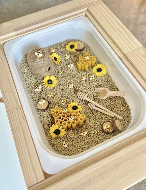 Bee Sensory Tray, Bumble Bee Sensory Bin, Bee Tuff Tray, Bee Sensory Bin, Bug Sensory Bin, Bug Activities, Bugs Preschool, Bee Activities, Montessori Diy