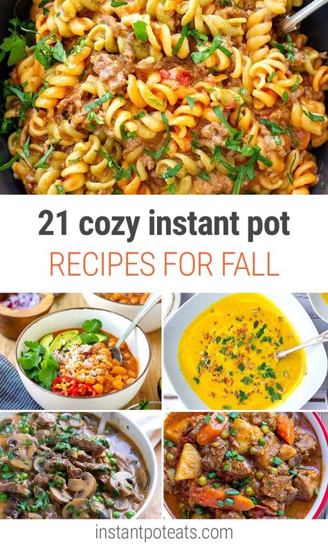 Instant Pot Fall Recipes, Instant Pot Stew, Recipes For Fall, Queso Cheddar, Fall Dinner Recipes, Fall Soups, Easy Instant Pot Recipes, Instant Pot Dinner Recipes, Fall Dinner