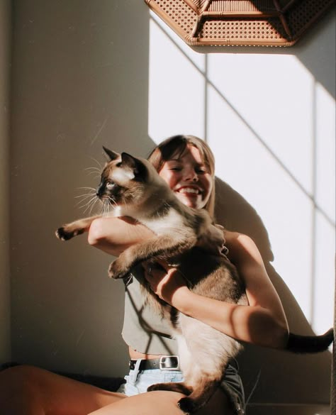 siamese cat, pets, cats,  portraits, photography, lighting, golden hour, aesthetic Antheia Aesthetic, Cat Home Aesthetic, Christmas Card With Cat Photo Ideas, Cat Person Aesthetic, Home Portrait Photography Ideas, Cat Family Photos, Photoshoot With Cats, Siamese Aesthetic, Home Photoshoot Ideas Aesthetic