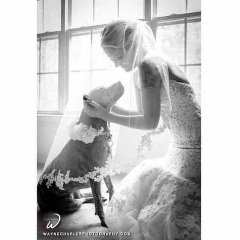 This is absolutely adorable! Wedding Picture Poses, Wedding Pets, Foto Tips, Future Wedding Plans, Wedding Photos Poses, Cute Wedding Ideas, Dog Wedding, Wedding Engagement Photos, Jolie Photo