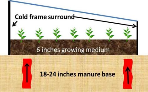 How To Make A Hot Bed Garden-pdf – No Dig Vegetable Gardening Blog Hot Bed Gardening, Hotbed Garden Diy, Hot Beds Garden, Tennessee Garden, Horse Manure, Winter Plants, Grow Vegetables, Below The Surface, Cold Frame