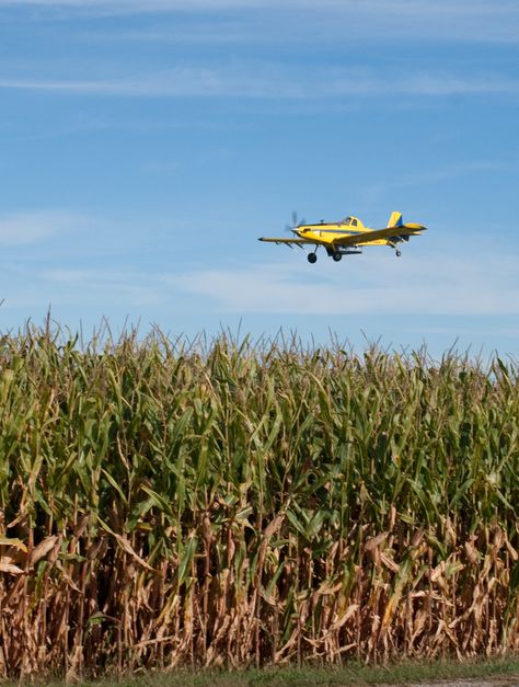 crop duster Crop Duster Airplane, Crop Duster, Radio Control Diy, Corn Fields, Model Train Table, Bush Plane, Plane Photos, Farm Scenes, Ap Studio Art