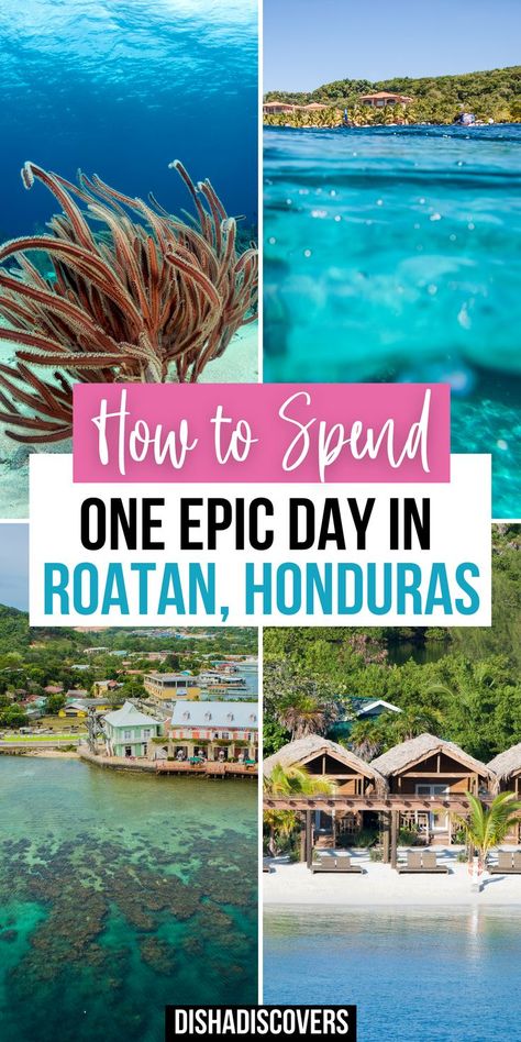 Best Things To Do In Roatan, What To Do In Roatan Honduras, Roatan Bay Islands Honduras, Infinity Bay Roatan Honduras, Hondorus Travel, Roatan Honduras Cruise Excursions, West Bay Roatan Honduras, Mahogany Bay Roatan Honduras, West Bay Beach Roatan