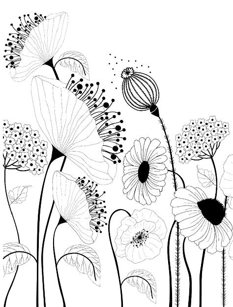 Flower doodles Modele Zentangle, Ako Kresliť, Arte Doodle, White Drawing, Flower Pattern Design, Pola Sulam, Embroidery Flowers Pattern, 자수 디자인, Flower Doodles