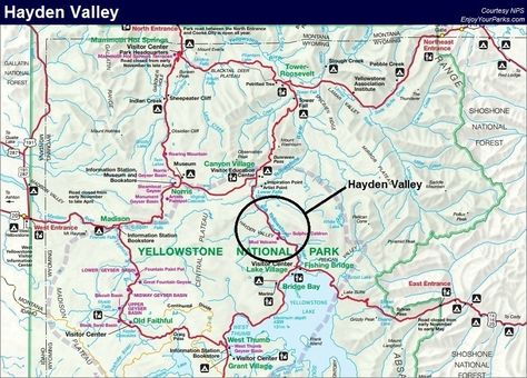 A map of Hayden Valley in Yellowstone National Park. Yellowstone Map, Wyoming Vacation, Yellowstone Vacation, National Park Map, Lamar Valley, Yellowstone Camping, Yellowstone Trip, Lake Village, Visit Yellowstone