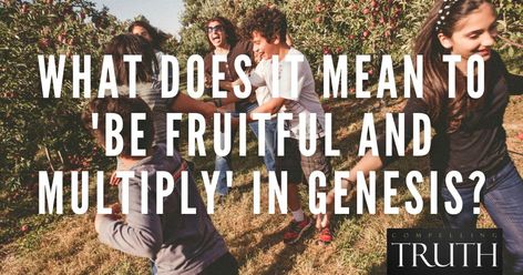 What does it mean to 'be fruitful and multiply' in Genesis? Be Fruitful And Multiply, Bible Questions, Matthew 28 19, Psalm 127, Pictures Of Christ, Bible Versions, Adam And Eve, Gods Plan, It's Meant To Be