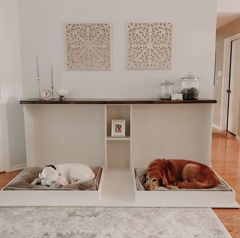 Dog Murphy Bed, Built In Dog Bed, Dog Room Design, Diy Murphy Bed, Dog Room Decor, Dog Bedroom, Colorful Hairstyles, Dog Corner, Dog Spaces