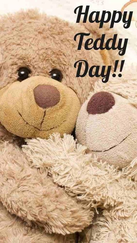 Teddy Day Quotes For Boyfriend, Chocolate Day Shayari, Teddy Day Quotes, Good Morning Boyfriend Quotes, Happy Teddy Bear Day, Happy Teddy Day, Teddy Day Images, Quotes Message, Merry Christmas Song