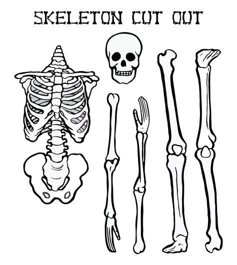 Free Printable Skeleton Template, Skeleton Bulletin Board, Printable Skeleton Template, Skeleton Stencil, Skeleton Coloring Pages, Skeleton Outline, Skeleton Template, Skeleton Printable, Simple Skeleton