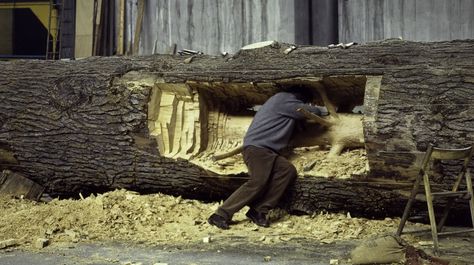 Cedro_di_Versailles_2000-2003_codice 69, lavorazione studio dell Giuseppe Penone, Neo Dada, Art Gallery Of Ontario, Into The Wood, Philadelphia Museums, Cedar Trees, Philadelphia Museum Of Art, Tree Sculpture, Art Video