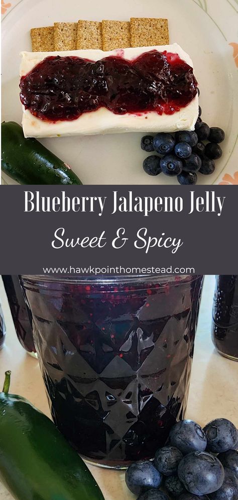 This sweet and spicy blueberry jalapeno jelly recipe is an easy recipe for making and canning such a delicious jelly. The blueberry jalapeno jelly wonderful to serve at any get-together. When paired with cream cheese and crackers, no one can resist!  It can also be used as a delicious glaze on different meats, such as chicken and pork chops.  Homemade jelly is such a great gift, especially this yummy pepper fruity jelly that can be used in so many delicious ways! Blackberry Jalapeno Jelly, Blackberry Pepper Jelly, Blueberry Pepper Jelly, Blueberry Hot Pepper Jelly, Blueberry Jams And Jellies, Jalepeno Jelly Over Cream Cheese, Blackberry Jalapeno Jam Jelly Recipes, Best Canning Recipes For Gifts, Sweet And Spicy Jam